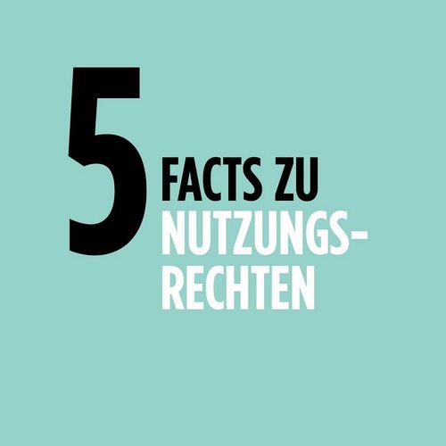 Die Tatsache, dass der Auftraggeber einen Entwurf nutzen will, ist der Grund, aus dem ein Entwurf überhaupt entsteht....